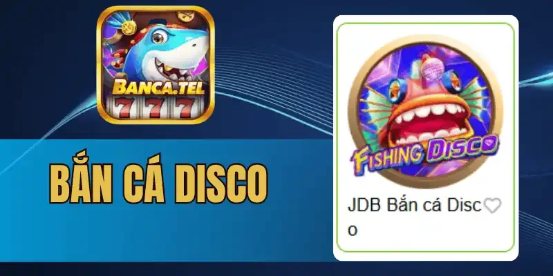 3 sảnh bắn cá disco từ cơ bản đến nâng cao độc đáo